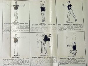 1930s muscles of the body poster health and fitness