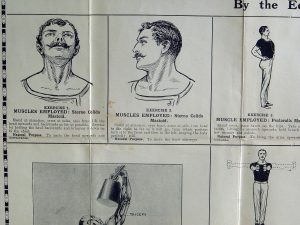1930s muscles of the body poster health and fitness